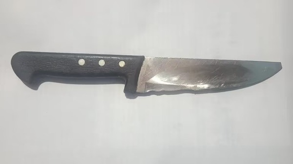 Salió de la cárcel, amenazó con cuchillo a su mamá y fue detenido
