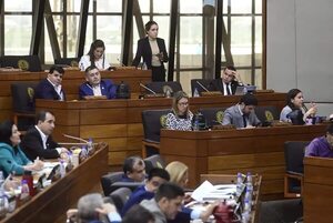 Diputados rechaza versión Senado y evita por ahora aniquilar Ley de conflicto de intereses - Política - ABC Color