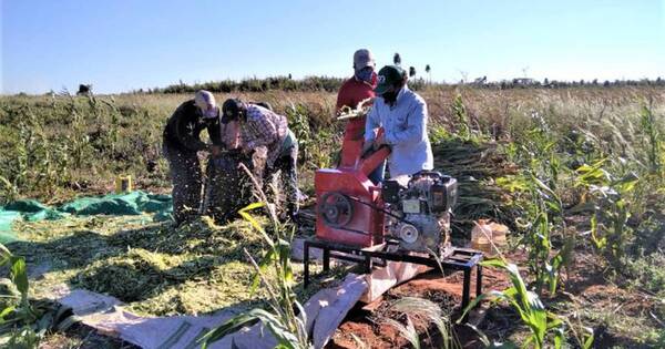 La Nación / Anuncian mesa de trabajo para mejorar el rubro agroganadero en el Chaco