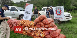 INCAUTARON MÁS DE UNA TONELADA DE PRODUCTOS FRUTIHORTÍCOLAS EN NATALIO - Itapúa Noticias