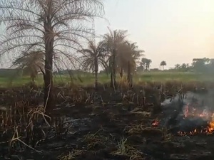 Incendios forestales dejan fuera de servicio a la ANDE - La Tribuna