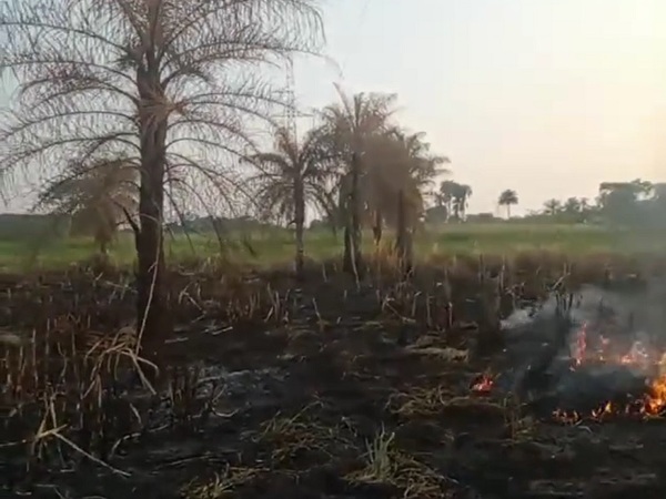 Incendios forestales dejan fuera de servicio a la ANDE - La Tribuna