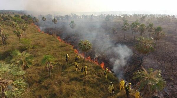Incendios forestales dejan sin energía eléctrica a varias localidades del país - Oasis FM 94.3