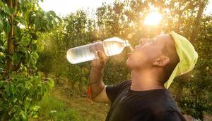 Trabajar al aire libre es peligroso, alertan OMS y OIT - Oasis FM 94.3
