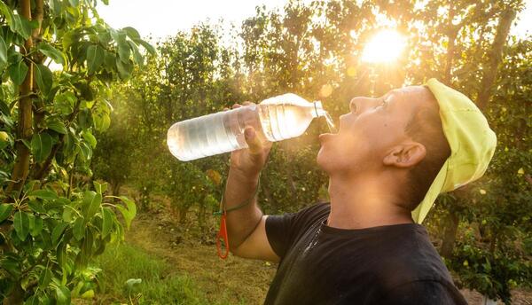 Trabajar al aire libre es peligroso, alertan OMS y OIT - Oasis FM 94.3