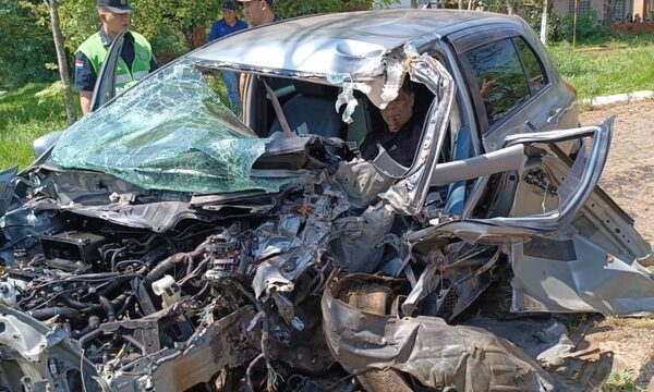 Quedó atrapado, luego de rozar un vehículo, atravesar el paseo central y chocar por un árbol – Diario TNPRESS