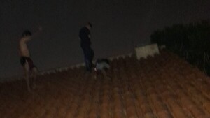 ¡No era un gato!: Dueño de casa pilló a ladrón en su tejado