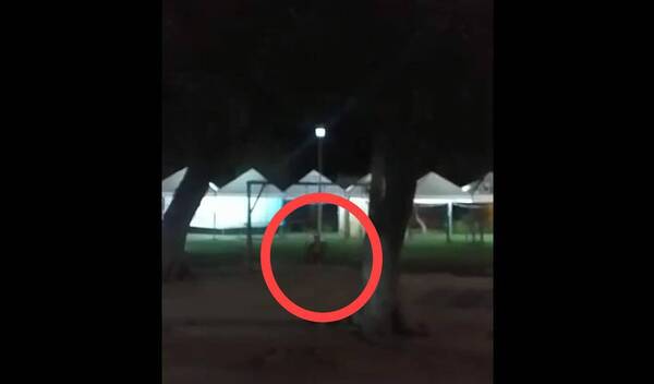 [VIDEO] "Puede ser un ángel": Guardia de una plaza filmó ¿a un niño fantasma? en la hamaca