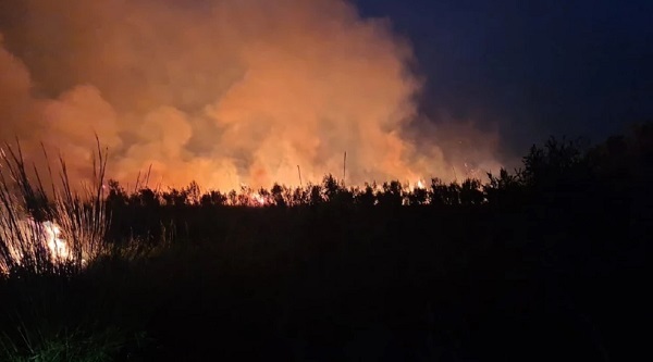 Bomberos luchan contra incendio forestal en la isla Yacyretá
