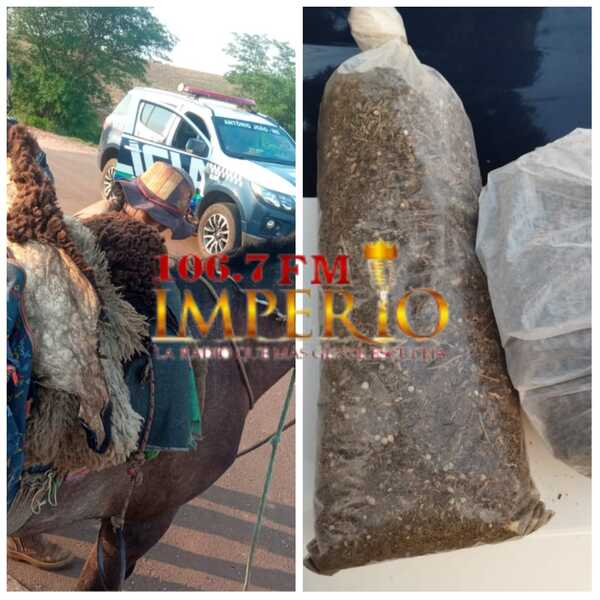 Nativo es detenido transportando droga a bordo de un caballo en la frontera - Radio Imperio 106.7 FM