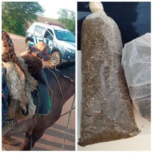 Nativo es detenido transportando droga a bordo de un caballo en la frontera