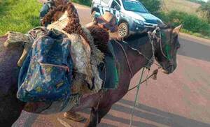 ¿Saben quien llegó? ¡El caballo voladooorrr!: cabalgaba con "plantitas verdes"