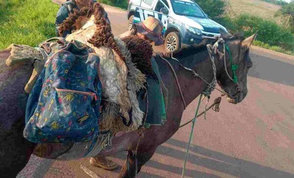 ¿Saben quien llegó? ¡El caballo voladooorrr!: cabalgaba con "plantitas verdes"
