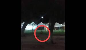 Se resolvió el misterio del que se hamacaba en horas de la madrugada en una plaza