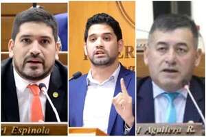 Caso por caso: Diputados cuestionan manoseo y pese a reculada en Itaipú, siguen con dudas - Política - ABC Color