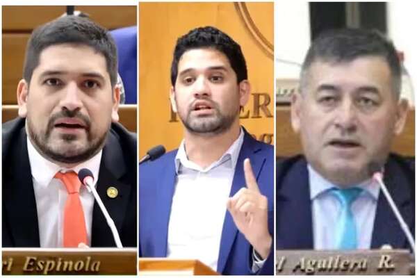 Caso por caso: Diputados cuestionan manoseo y pese a reculada en Itaipú, siguen con dudas - Política - ABC Color