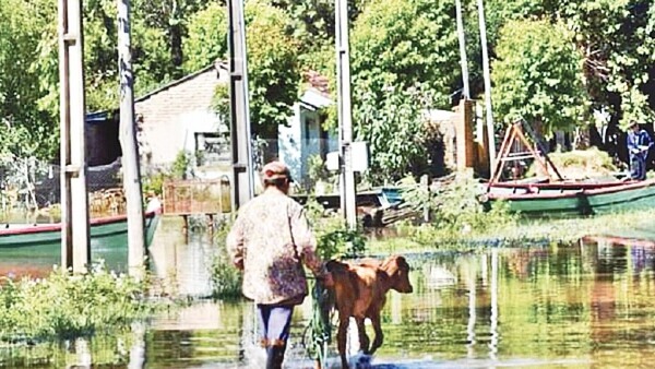 Villa Florida: Crecida golpea al bolsillo de los productores
