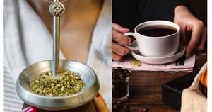 La Nación / Mate, café o té: ¿Cuál de estas infusiones es la más saludable?