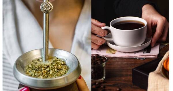 La Nación / Mate, café o té: ¿Cuál de estas infusiones es la más saludable?