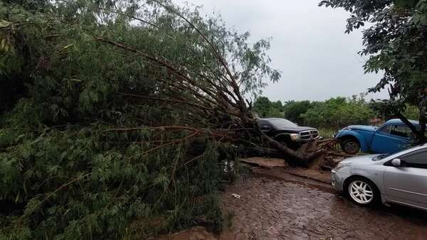 Temporal causa inundación por raudales y caída de árboles en Coronel Oviedo - Nacionales - ABC Color