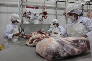 Estados Unidos aprueba exportación de carne vacuna paraguaya - trece