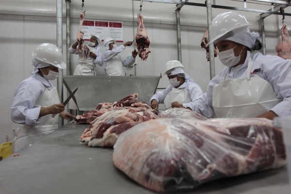 Estados Unidos aprueba exportación de carne vacuna paraguaya - trece
