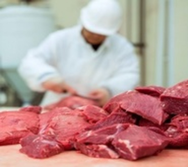 Paraguay puede exportar carne vacuna a los EEUU - Paraguay.com