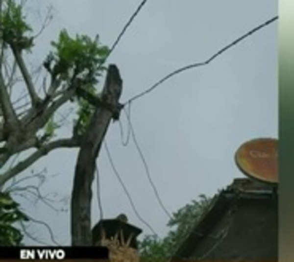 Mujer pierde la vida electrocutada en Ñeembucú - Paraguay.com