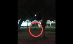 (VIDEO). ¿Sabés quién era el que se hamacaba solito de madrugada en una plaza?