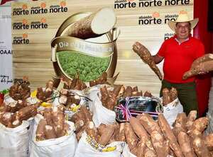 En el Día de la Mandioca remarcan el potencial de este alimento ancestral - Economía - ABC Color