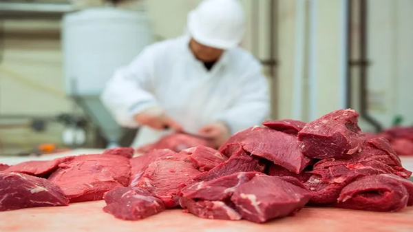 ¡Por fin! Paraguay puede exportar carne vacuna a los EEUU - Noticiero Paraguay