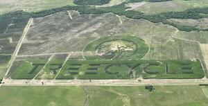 Logotipo natural más grande del mundo en Paraguay con árboles plantados logra Récord Guinness | 1000 Noticias