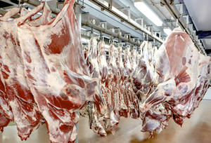 Celebran reapertura del mercado de Estados Unidos a la carne paraguaya | 1000 Noticias