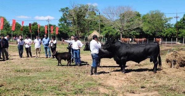 Intercambian conocimientos sobre el cuidado y nutrición de la raza Angus