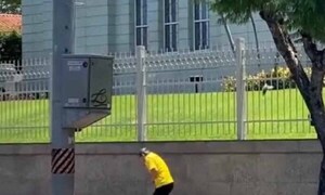 Recomiendan no más “experimentos” con pájaros que atacan en Asunción – Prensa 5