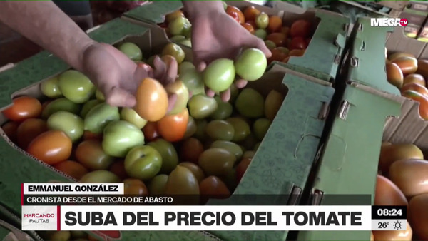 Preocupación por escasez de tomate y precios que están por las nubes - Megacadena - Diario Digital