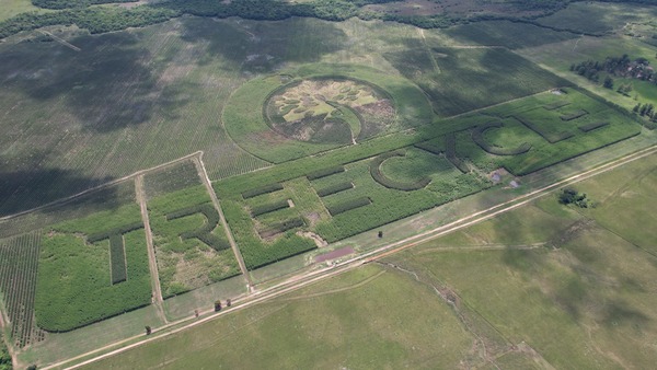 GRUPO EMPRESARIAL «LA RIVERA» PROYECTA EL LOGOTIPO NATURAL MÁS GRANDE DEL MUNDO PLANTADO DE ÁRBOLES CON EL QUE BUSCAN LLEGAR