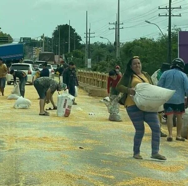 Tras accidente, avivados robaron maíz esparcido en la ruta