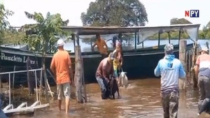 Dramático rescate de animales en Yabebyry - Noticias Paraguay