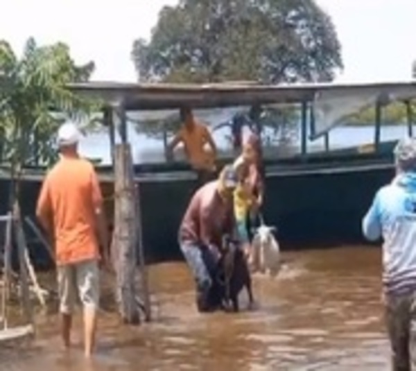 Dramático rescate de animales en Yabebyry - Paraguay.com