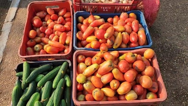 Comerciantes del Abasto denuncian escasez y alto precio del tomate