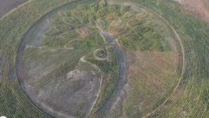 Paraguay logra Récord Guinnes con el logotipo natural más grande del mundo, hecho de árboles plantados - El Independiente