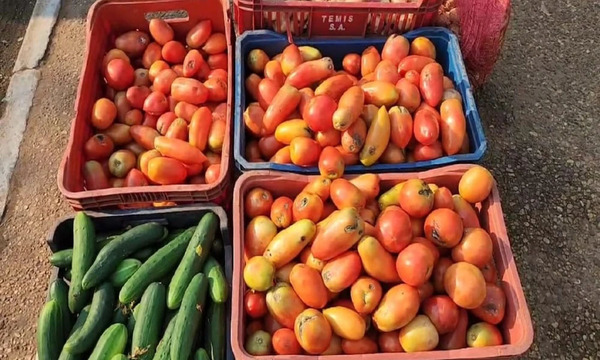 Los comerciantes del Abasto denuncian escasez y alto precio del tomate
