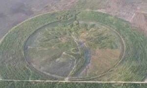 Paraguay obtiene récord Guinnes con el logotipo natural más grande del mundo – Prensa 5