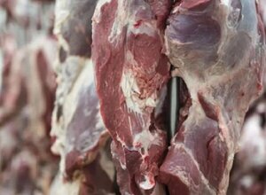Exportación a EE.UU.: “No anticipamos que haya subas en el precio de la carne”, dice cámara de carne · Radio Monumental 1080 AM