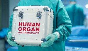 Especialista habla de los desafíos de la donación de órganos en Paraguay - Portal Digital Cáritas Universidad Católica