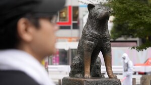 Hachiko: 100 años esperando a su dueño en la estación de tren de Shibuya