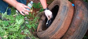 Diario HOY | Caacupé sin mosquitos: el objetivo de Salud por las festividades marianas