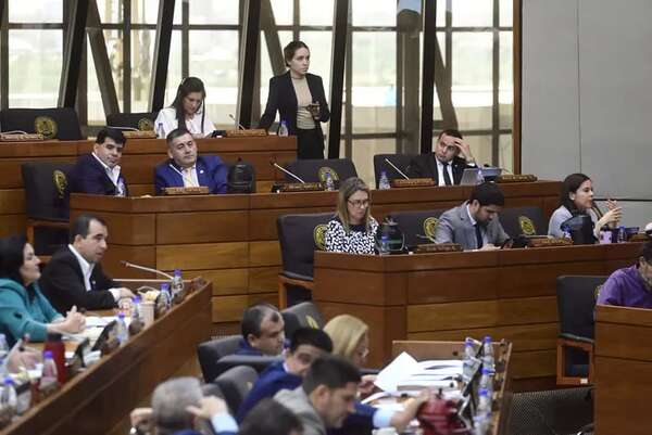 Plantean causa penal contra rosca y que HC pida perdón por “cómplice” - Política - ABC Color