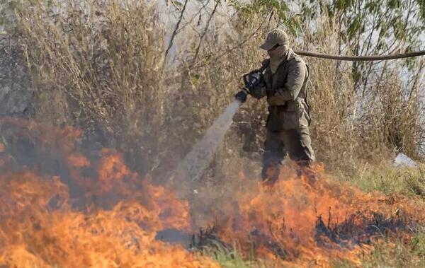 La deforestación en la Amazonía brasileña cae un 22 % en el último año - San Lorenzo Hoy